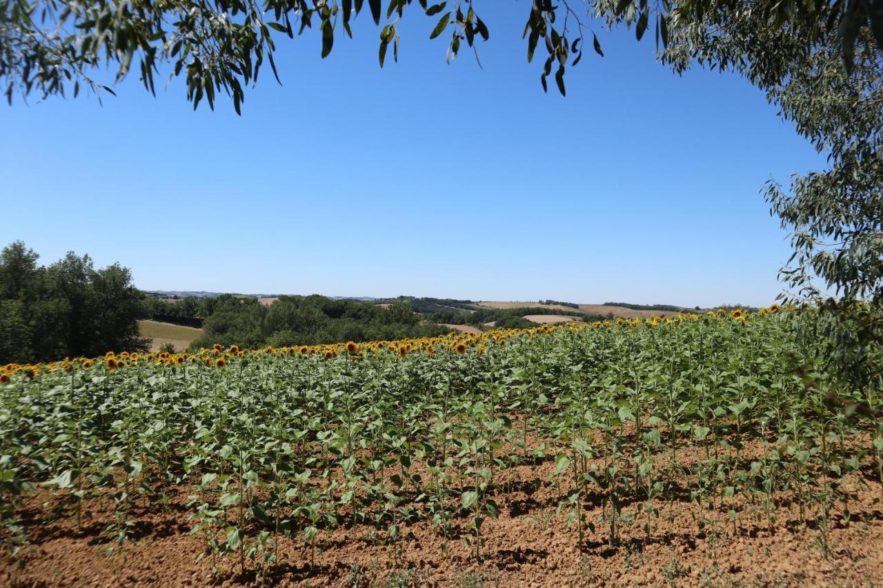 Le Clos Mirelie Gaujac  Eksteriør bilde